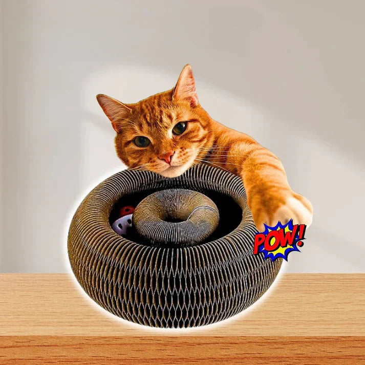Clinclii™ The interactive mental physical exercise for cats