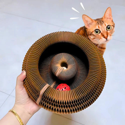 Clinclii™ The interactive mental physical exercise for cats