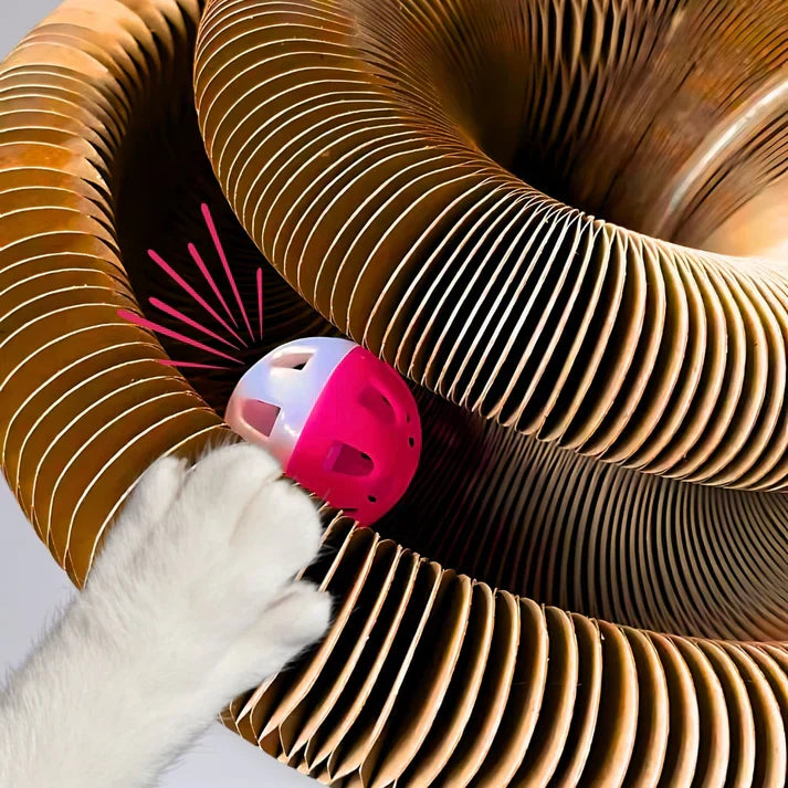 Clinclii™ The interactive mental physical exercise for cats