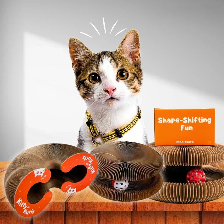 Clinclii™ The interactive mental physical exercise for cats