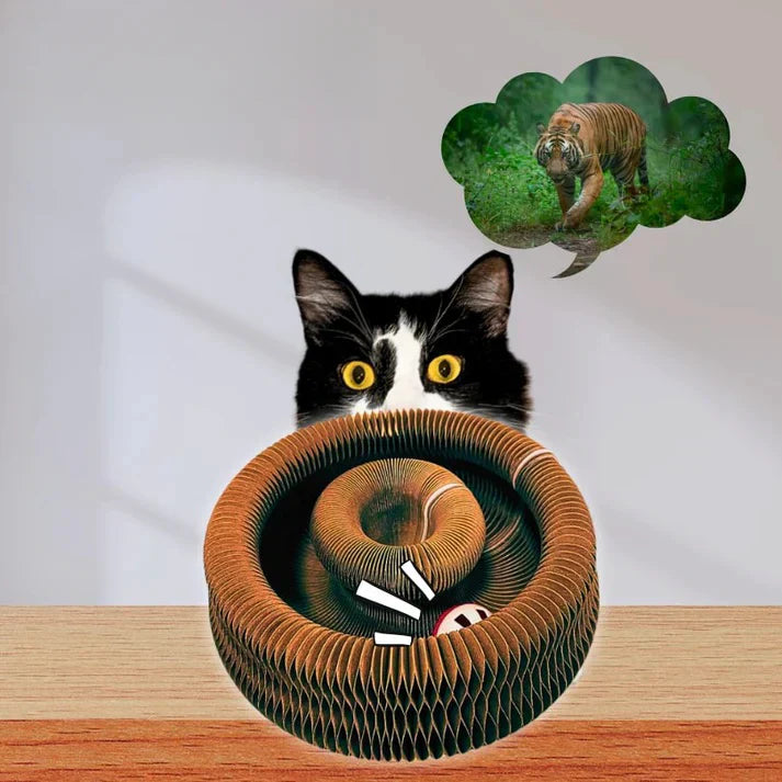 Clinclii™ The interactive mental physical exercise for cats